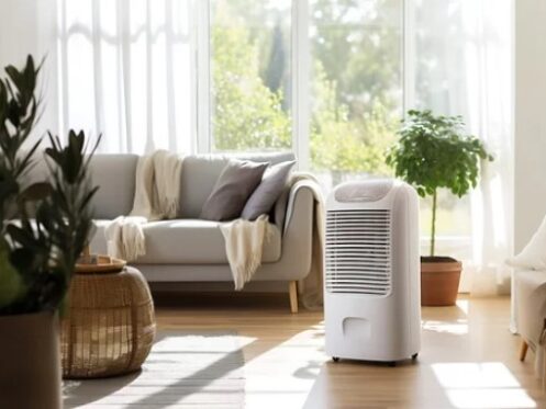 Dehumidifier